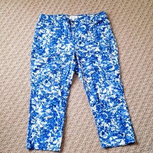 Talbots Petite Jeans